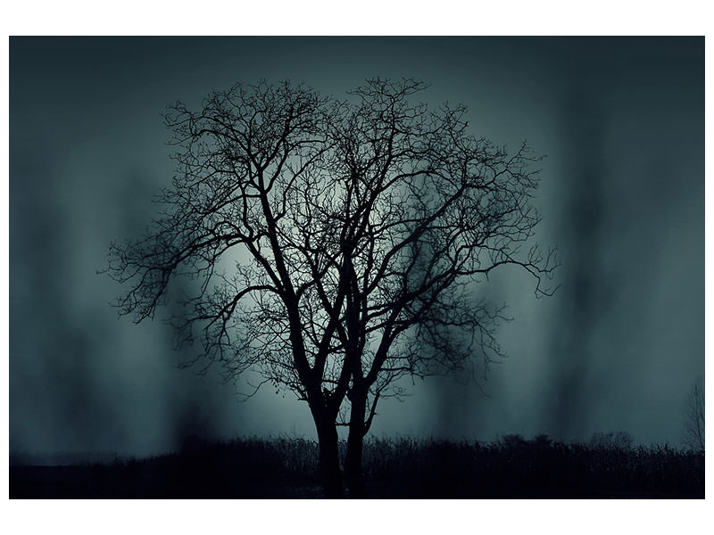 canvas-print-the-tree-in-darkness