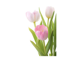 canvas-print-the-tulips-trio