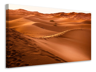 canvas-print-traces-in-the-desert
