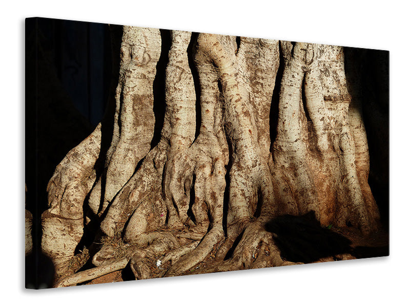 canvas-print-tree-close-up