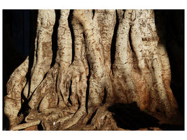canvas-print-tree-close-up