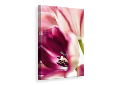 canvas-print-tulip-ii