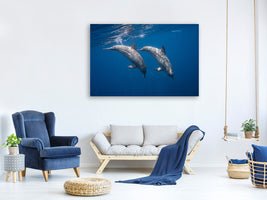 canvas-print-two-bottlenose-dolphins