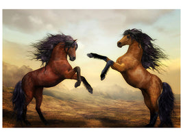 canvas-print-two-wild-horses