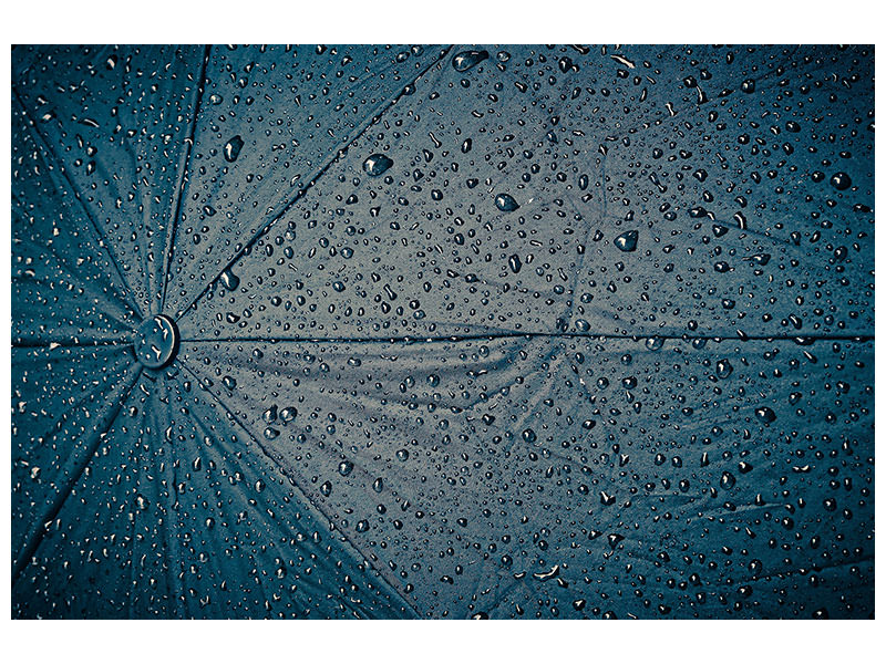 canvas-print-umbrella