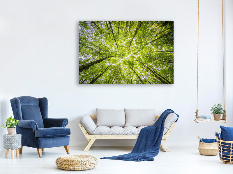 canvas-print-under-the-treetops