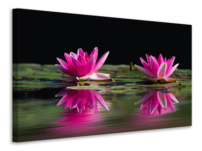 canvas-print-water-lilies-duo-in-pink