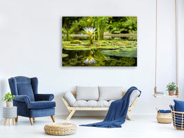 canvas-print-water-lily-in-nature
