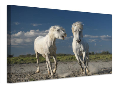 canvas-print-white-horses-x