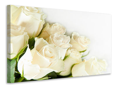 canvas-print-white-roses