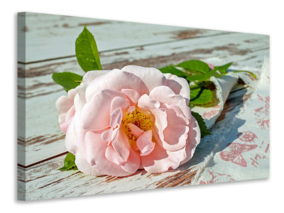 canvas-print-wild-rose-in-pink