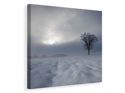 canvas-print-winter-impression