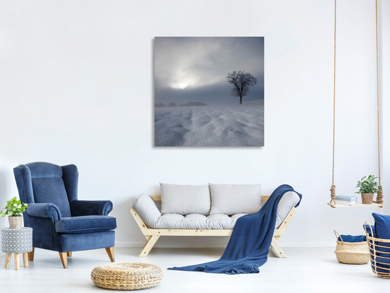 canvas-print-winter-impression