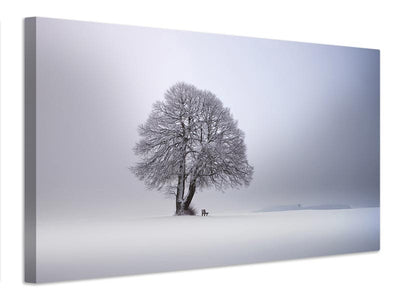 canvas-print-winter-light-xpy