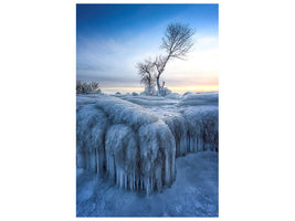 canvas-print-winter-wonderland-a