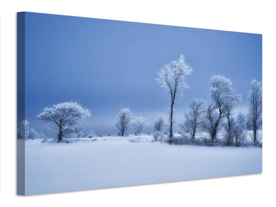 canvas-print-winterland-x