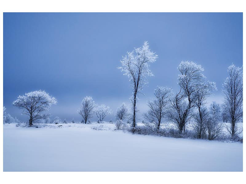 canvas-print-winterland-x