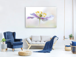 canvas-print-wood-anemone