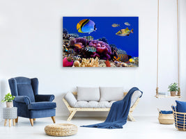 canvas-print-world-of-fish
