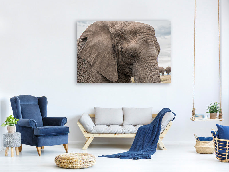 canvas-print-xl-elephant