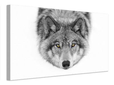 canvas-print-yellow-eyes-timber-wolf-x