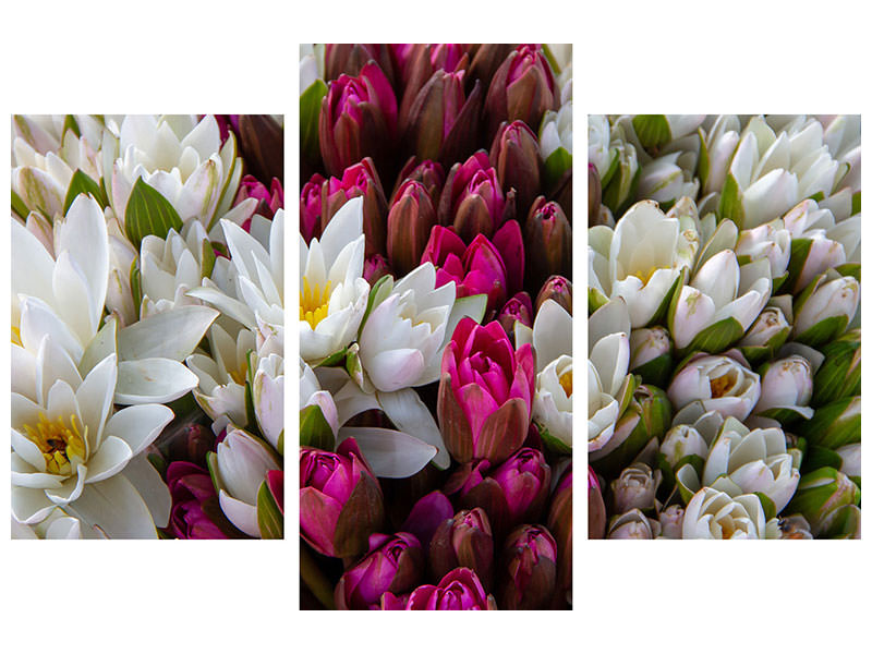 modern-3-piece-canvas-print-a-bouquet-of-water-lilies
