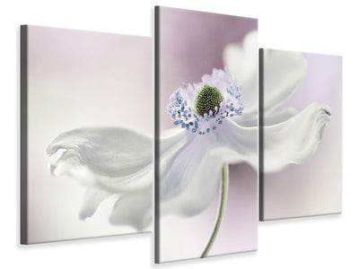 modern-3-piece-canvas-print-anemone-breeze