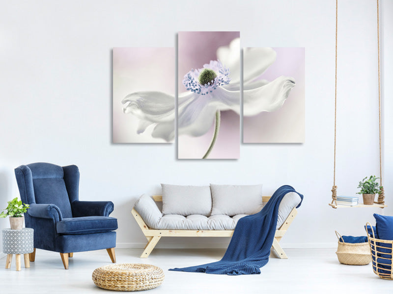 modern-3-piece-canvas-print-anemone-breeze