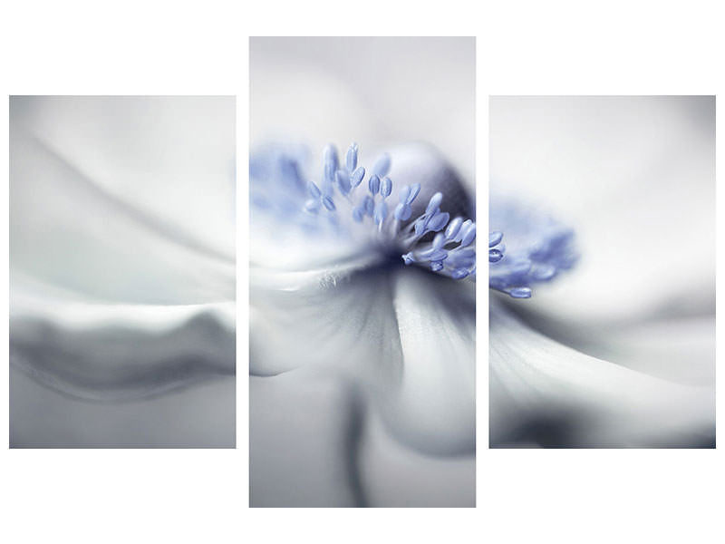 modern-3-piece-canvas-print-anemone-spirit