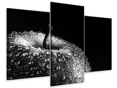 modern-3-piece-canvas-print-appel