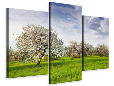 modern-3-piece-canvas-print-apple-tree-garden