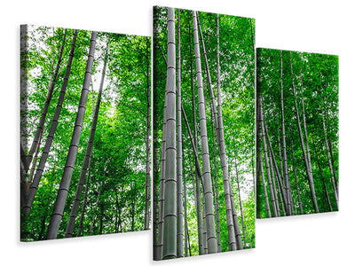 modern-3-piece-canvas-print-bamboo-forest