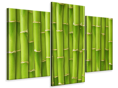 modern-3-piece-canvas-print-bamboo-wall