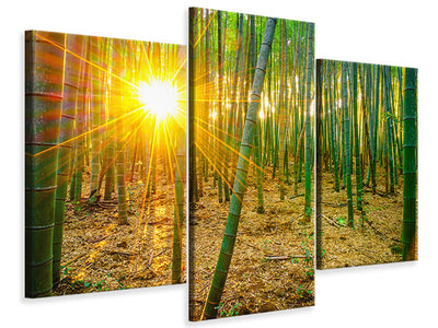 modern-3-piece-canvas-print-bamboos
