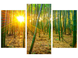 modern-3-piece-canvas-print-bamboos