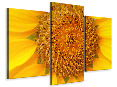 modern-3-piece-canvas-print-beautiful-buds-of-the-sunflower