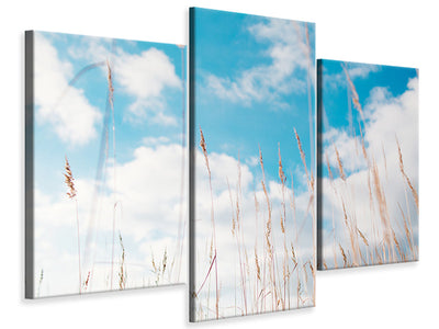 modern-3-piece-canvas-print-blades-of-grass-in-the-sky