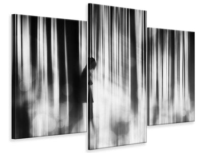 modern-3-piece-canvas-print-caught-in-the-sorrow