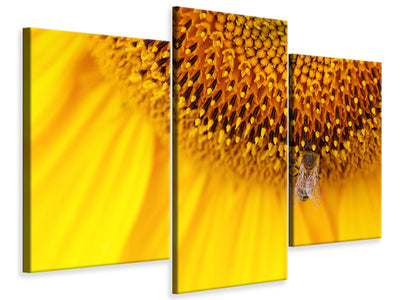 modern-3-piece-canvas-print-close-up-yellow-bud