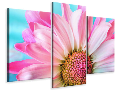 modern-3-piece-canvas-print-colored-flower