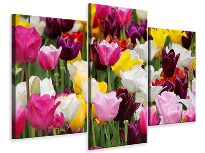 modern-3-piece-canvas-print-colorful-tulip-field