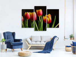 modern-3-piece-canvas-print-colorful-tulips