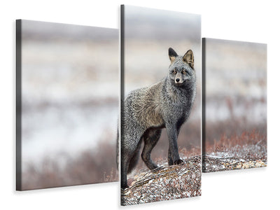 modern-3-piece-canvas-print-cross-fox