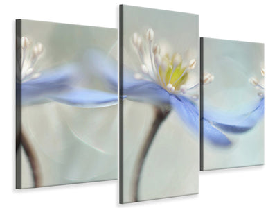 modern-3-piece-canvas-print-dancing-anemones