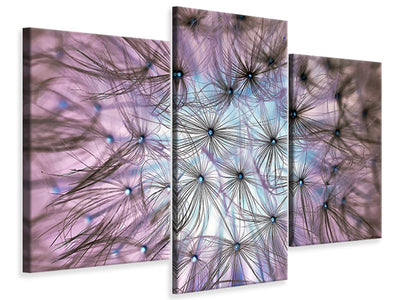 modern-3-piece-canvas-print-dandelion-in-the-light-play