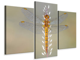 modern-3-piece-canvas-print-dragonfly