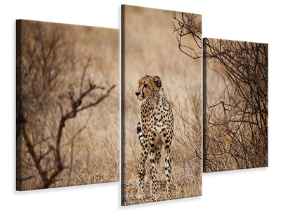 modern-3-piece-canvas-print-elegant-cheetah