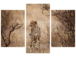 modern-3-piece-canvas-print-elegant-cheetah