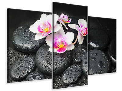 modern-3-piece-canvas-print-feng-shui-orchid-zen