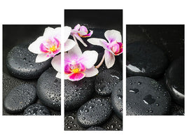 modern-3-piece-canvas-print-feng-shui-orchid-zen